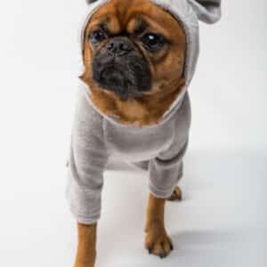 Sweater fofo pra cachorro